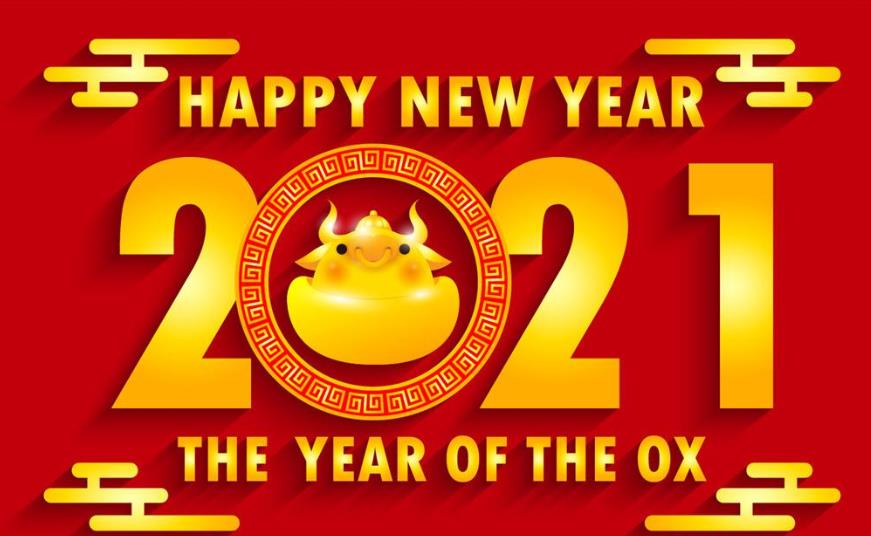 2021年第一篇：如何做站群优化，其中优化过程中有哪些技巧？