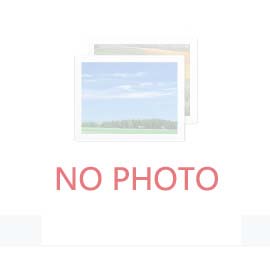 探针台可以直接放物品吗？